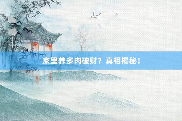 家里养多肉破财？真相揭秘！