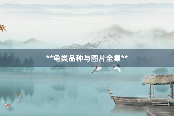 **龟类品种与图片全集**
